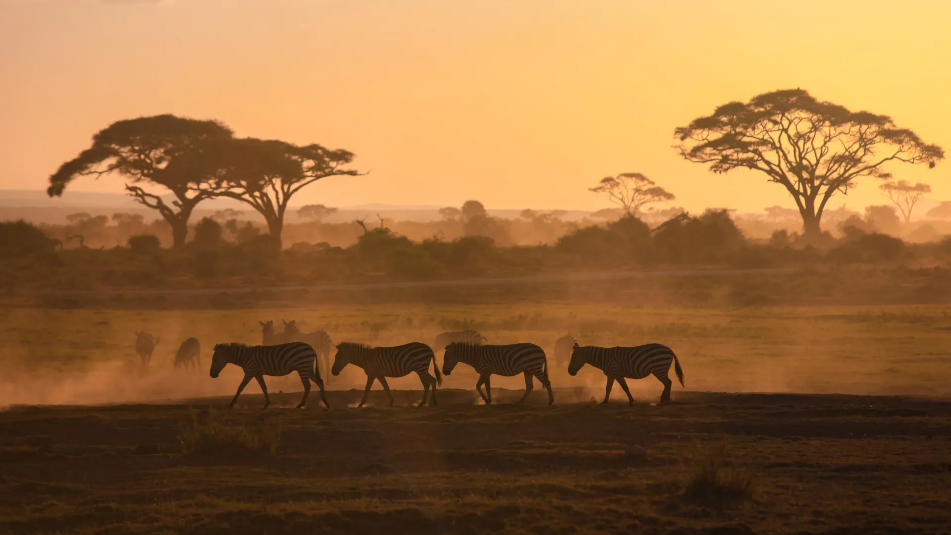 Kenia