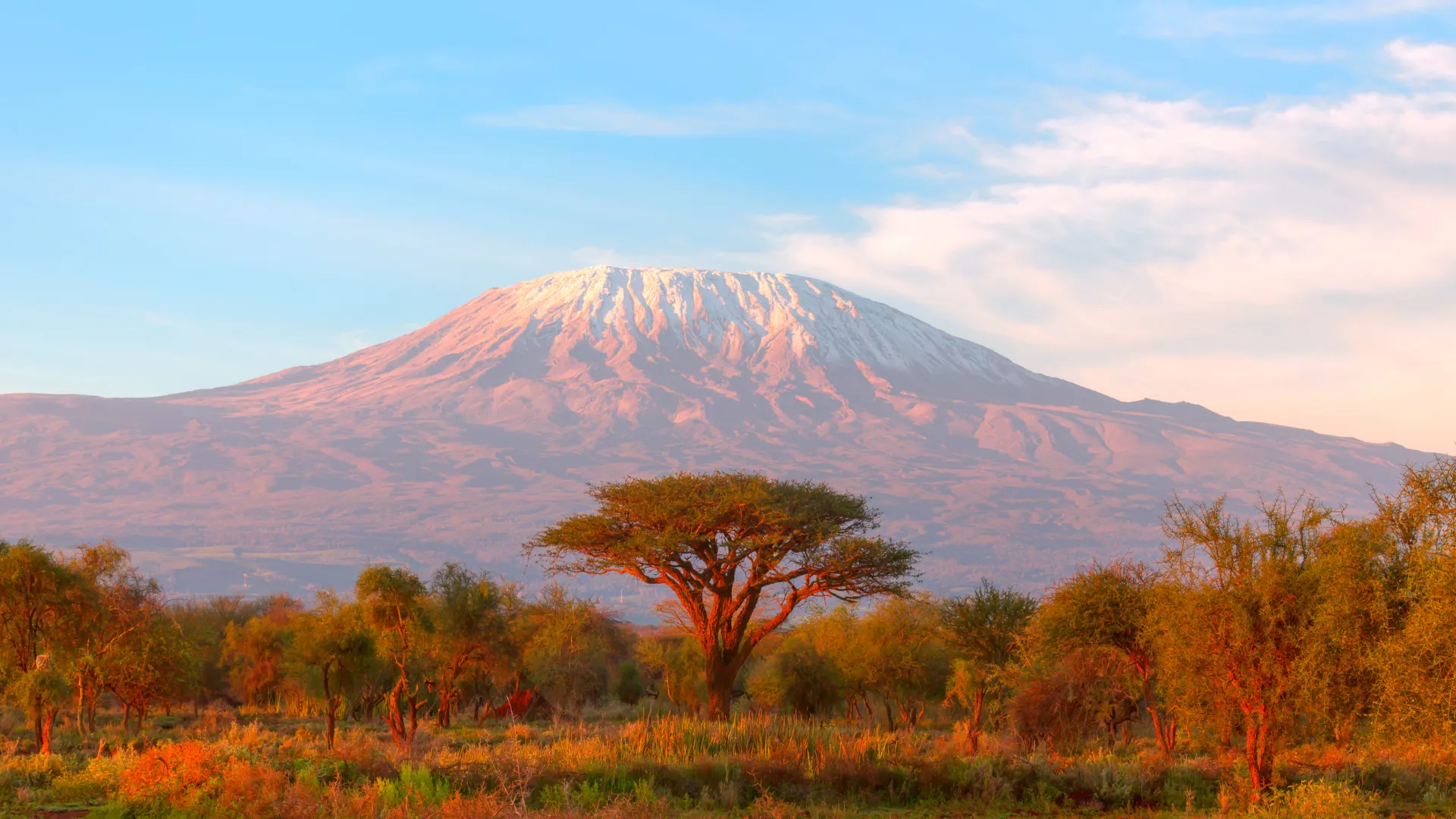 Tanzania